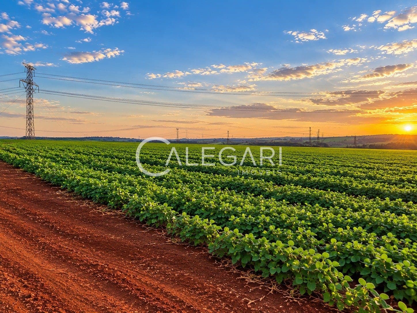 Área Rural à venda de 11 alqueres no Alto Boa Vista – Foz do Iguaçu, foto 2