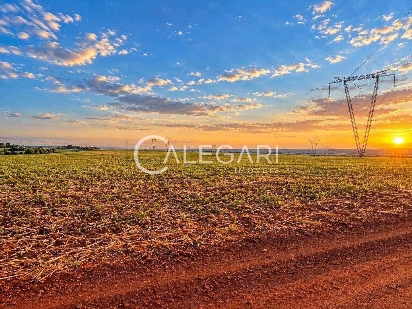 Área Rural à venda de 11 alqueres no Alto Boa Vista – Foz do Iguaçu, foto 3