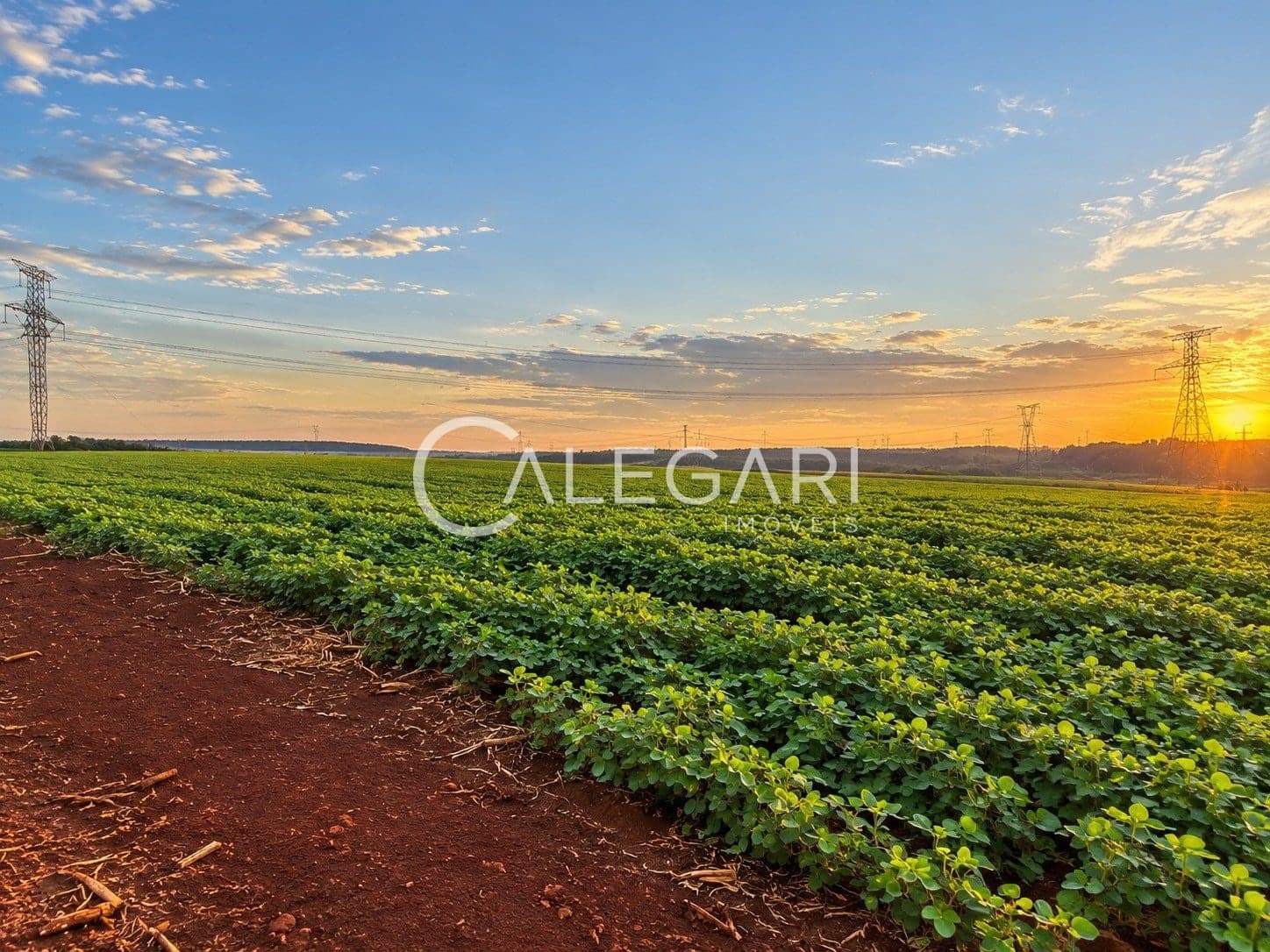 Área Rural à venda de 11 alqueres no Alto Boa Vista – Foz do Iguaçu, foto 5