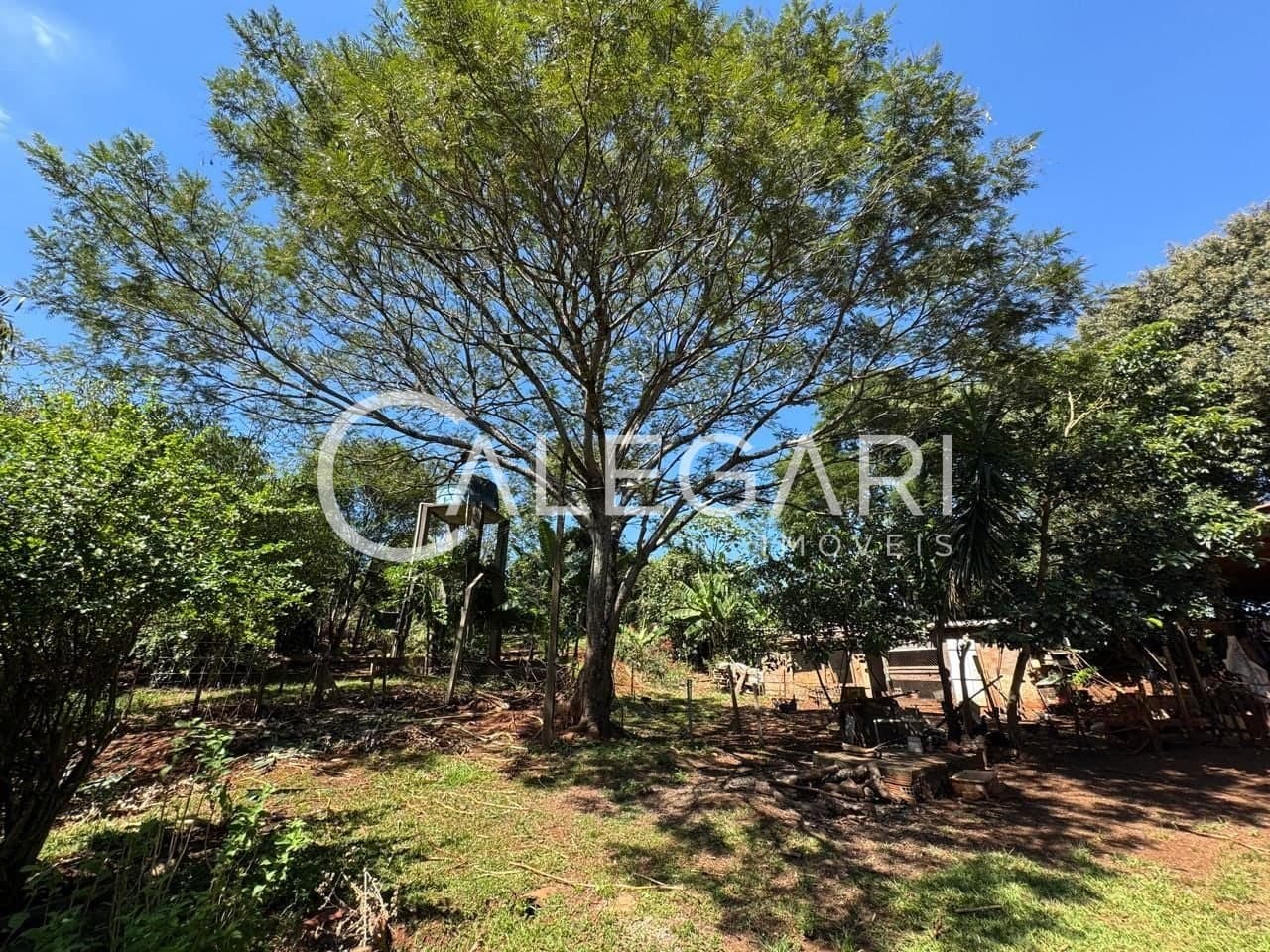 Chácara à venda de 48.400m² na Avenida Felipe Wandscheer- Foz do Iguaçu/PR. — foto 5